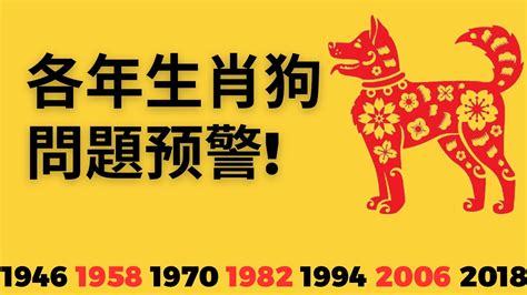 屬狗運勢2023|属狗人2023年全年运势详解 属狗2023年运势及运程每月运程